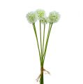 Floristik24 Allium 35cm branco 6pcs