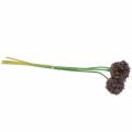 Floristik24 Cebola ornamental Allium artificial roxo Ø7cm Alt.58cm 4 unidades
