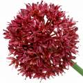 Floristik24 Cebola decorativa Allium malva artificial Ø7cm Alt.58cm 4 unidades