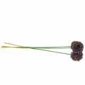 Floristik24 Cebola decorativa Allium artificial lilás 70 cm 3 unidades