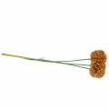 Floristik24 Cebola decorativa Allium laranja artificial 70 cm 3 unidades