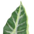 Floristik24 Alocasia orelha de elefante folha de seta plantas artificiais verde 55 cm