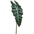 Floristik24 Planta artificial de folha de flecha artificial alocasia deco verde 74cm