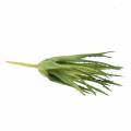 Floristik24 Aloe Vera artificial Verde 26cm