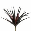 Floristik24 Aloe Vera artificial roxo 26cm