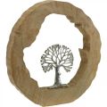 Floristik24 Madeira de decoração de mesa de árvore para colocar madeira de mangueira natural, metal 32×5×34cm