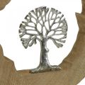 Floristik24 Madeira de decoração de mesa de árvore para colocar madeira de mangueira natural, metal 32×5×34cm
