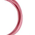 Floristik24 Fio de alumínio 2mm rosa 3m