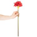 Flor artificial de amarílis vermelha com haste, decoração floral para o Natal, 50 cm | Floristik24.pt