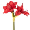 Flor artificial de amarílis vermelha com haste, decoração floral para o Natal, 50 cm | Floristik24.pt