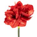Floristik24 Flor artificial de amarílis vermelha, com haste longa, para vaso e arranjos, 77 cm.