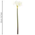 Flor artificial de amarílis branca, com haste, para o Advento e Natal, 50 cm | Floristik24.pt