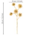 Ramo de Frutas Artificial Âmbar, Decoração Dourada, 26cm, Pacote com 6 unidades | Floristik24.pt
