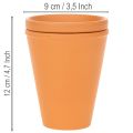 Reservatório de água Aquasafe com bebedouro para insetos, ideal para jardim, varanda e terraço, 12 cm, pacote com 3 peças. | Floristik24.pt