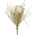 Bouquet ásteres artificiais e gypsophila bege, branco 43cm