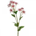 Floristik24 Grande Masterwort Artificial Astrania Silk Flower Branco Rosa L61cm