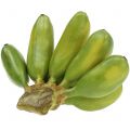 Floristik24 Baby banana verde artificial perene 13cm