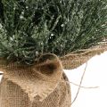 Floristik24 Mini árvore de Natal com neve artificial em saco Alt. 41cm