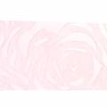 Floristik24 Rosas de fita Deco ampla rosa 63 mm 20 m
