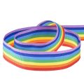 Floristik24 Fita decorativa para presente arco-íris multicolorida 25mm 20m
