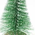 Floristik24 Árvore de Natal decorativa com neve verde 10 cm 6 unidades