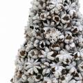 Floristik24 Árvore de Natal decorativa de anis estrelado branco lavado com glitter 30cm