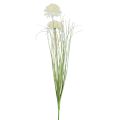 Floristik24 Flores artificiais bola flor allium cebola ornamental artificial branca 90cm