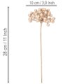 Ramo artificial de frutos silvestres, decoração cor champanhe, 28 cm, 3 peças | Floristik24.pt