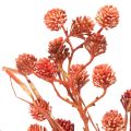 Ramo artificial de frutos silvestres, decoração de outono realista, 68 cm | Floristik24.pt