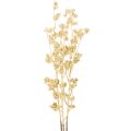 Floristik24 Ramo decorativo artificial com frutos silvestres, dourado, 70 cm, 3 peças