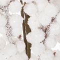 Ramo artificial decorativo de inverno com frutos silvestres e pinhas, 60 cm | Floristik24.pt