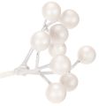 Ramo artificial de frutos silvestres brancos, material para decoração/artesanato, 52 cm | Floristik24.pt