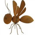 Floristik24 Figura decorativa abelha, inseto de metal, decoração de jardim com pátina L20cm H19cm