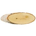 Floristik24 Discos de bétula oval discos de madeira natureza deco 18-22cm 10p