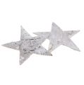 Floristik24 Estrela de bétula lavada de branco 6,5cm 36p