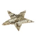 Estrelas de bétula 6cm 100 peças | Floristik24.pt