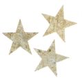 Floristik24 Estrelas de bétula 9cm 70p