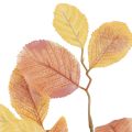 Floristik24 Decoração de outono, ramo decorativo de faia, ramo artificial decorativo 72,5 cm