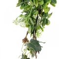 Floristik24 Guirlanda de folhas deco guirlanda planta artificial verde 180cm