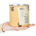 Lata decorativa de metal cor damasco, vaso para plantas, Ø11cm A10,5cm | Floristik24.pt