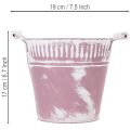 Balde de lata, pintado de roxo e branco, Ø19cm A17cm, 1 unidade. | Floristik24.pt
