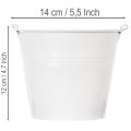 Baldes de lata branca Ø14cm A12cm, 6 unidades | Floristik24.pt