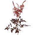 Floristik24 Flor artificial Astilbe de caule longo 'Splemendor' 80cm