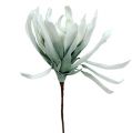 Floristik24 Espuma de ramo de flor branca, verde 72 cm