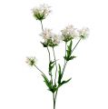 Floristik24 Ramo de flor branco L70cm