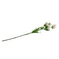 Floristik24 Ramo de flor branco L70cm