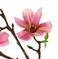 Floristik24 Magnolia mini rosa, rosa C53cm 3 unidades