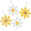 Floristik24 Flores de madeira, decoração de verão, margaridas amarelas e brancas, flores de decoração para pendurar 4 peças