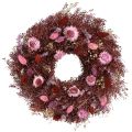 Floristik24 Coroa de flores, coroa de flores secas, vermelho vinho, rosa, Ø25cm
