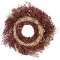 Coroa de flores, coroa de flores secas, vermelho vinho, rosa, Ø25cm | Floristik24.pt
